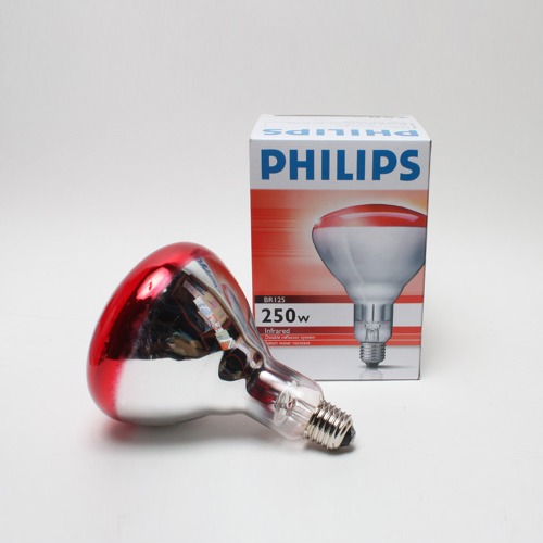 필립스 적외선램프 100W 150W 250W